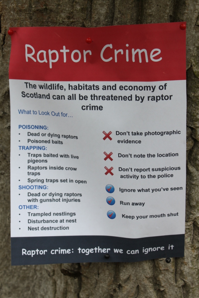 Spot the difference… – Raptor Persecution UK