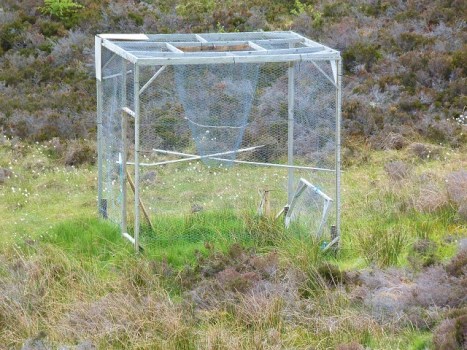 Cannon Net Raptor Trap Funnel crow trap (by Duncan Brown) – Raptor Persecution UK