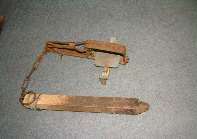 gin trap with new stake