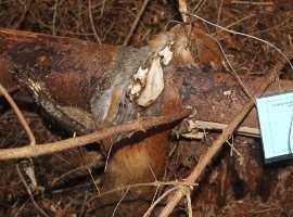 petrie_web_2_full_width