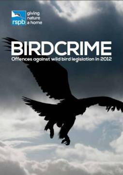 Birdcrime 2012