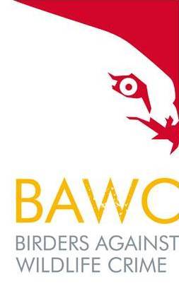 BAWC