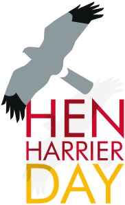 Hen-Harrier-Day-2014c
