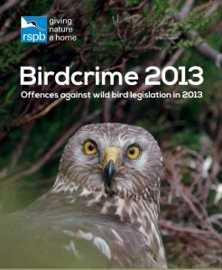 Birdcrime 2013