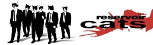 reservoir-cats