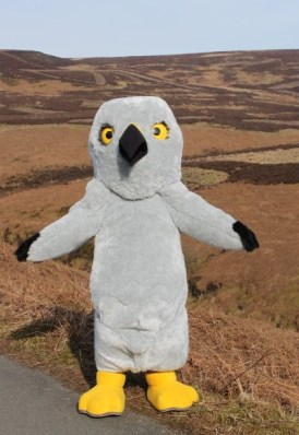 Henry Peak District grouse moor (2) - Copy