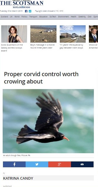 Chough control - Copy