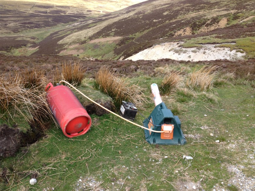 Bird scarer 1 - Copy