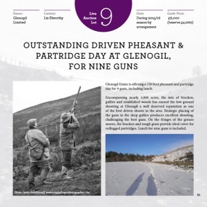 GWCT Scottish Auction 2015 Glenogil lot - Copy