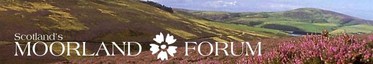 Moorland Forum logo - Copy