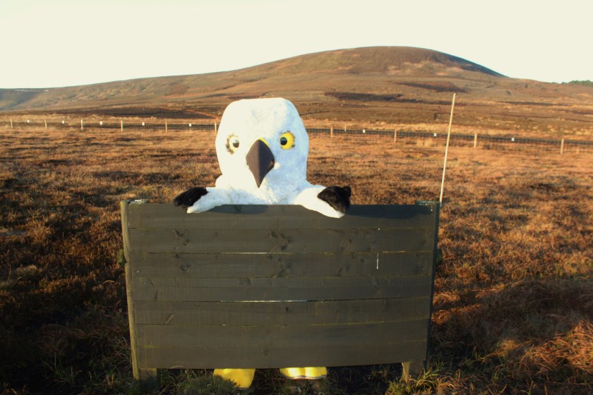 Thursday 30 April  Copy