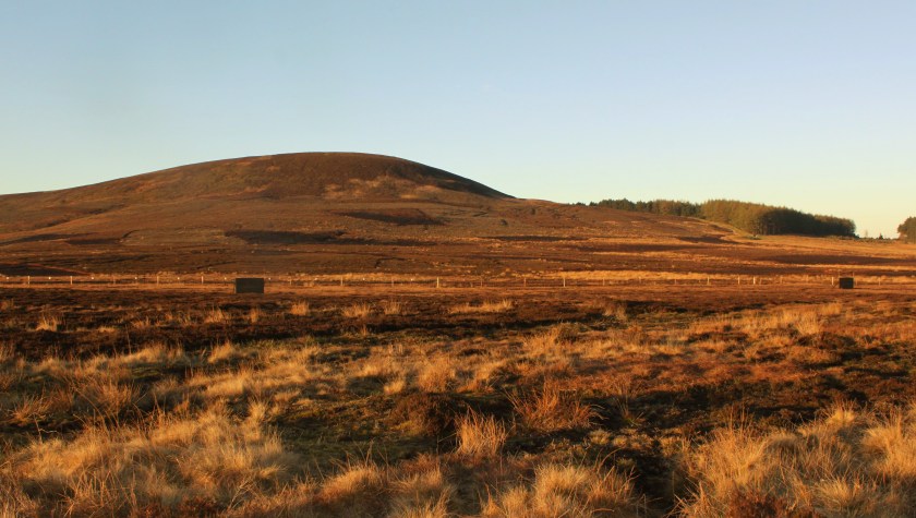 Wednesday 29 April  Copy