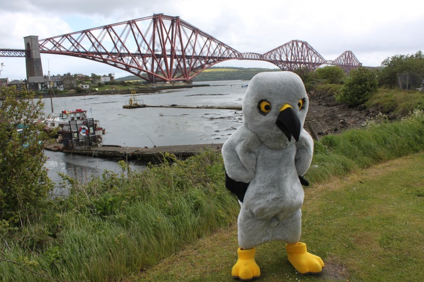 1st June 2015 - Copy