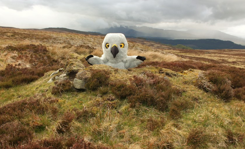 Friday 26 June 2015  Copy