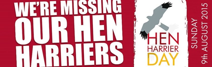 HH Day 2015 website (2) - Copy