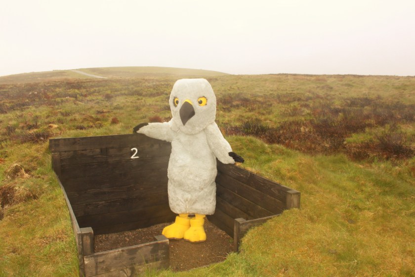 Last day of the week June don't know the date - Copy