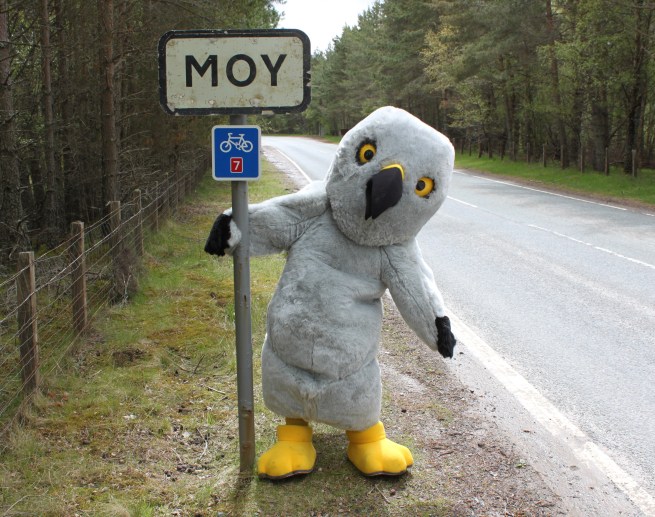 Mon 8 June 2015 - Copy