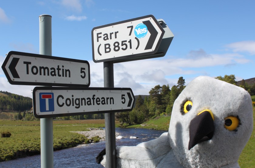 Tues 23 June 2015 Copy