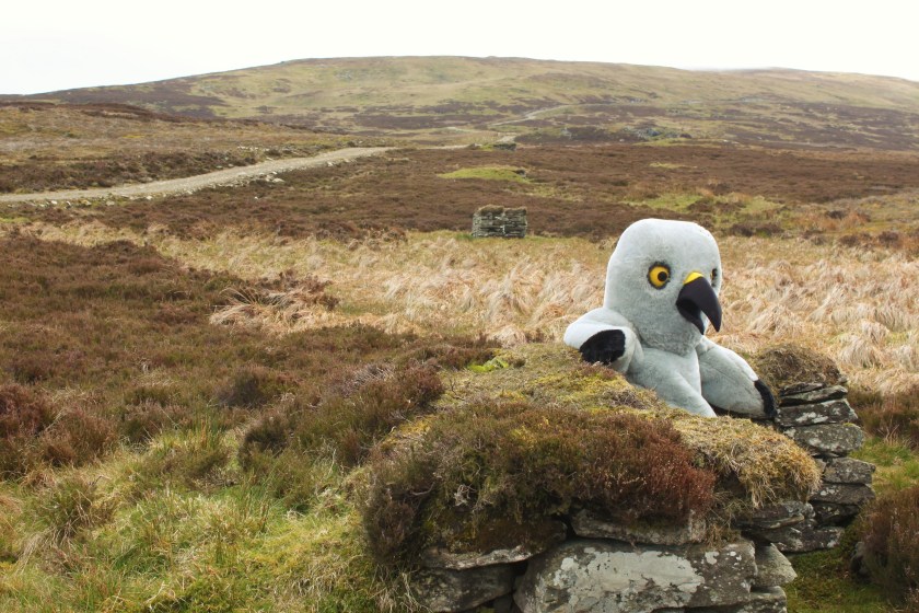 Fri 3 July 2015 Copy