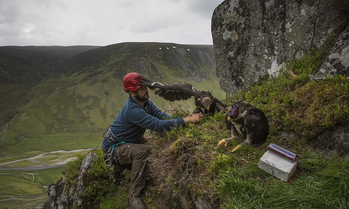 ge GUARDIAN pics 2015