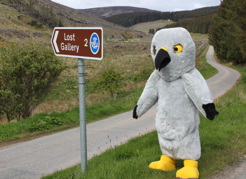 Weds 1 July 2015  Copy