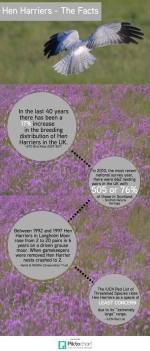 HH the facts sga - Copy