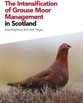 LACSreport cover - Copy