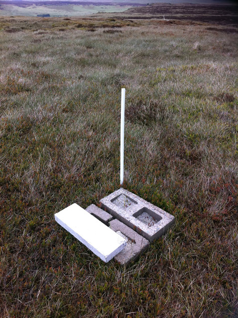 Medicated grit Phil Champion