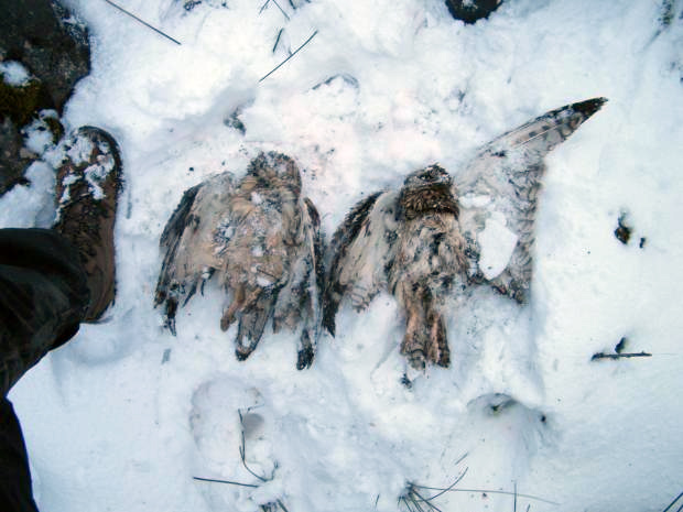 SEO_shot_CoDurham_Mar2015a