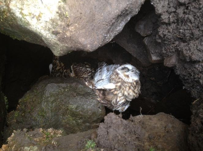 SEO_shot_CoDurham_Mar2015b