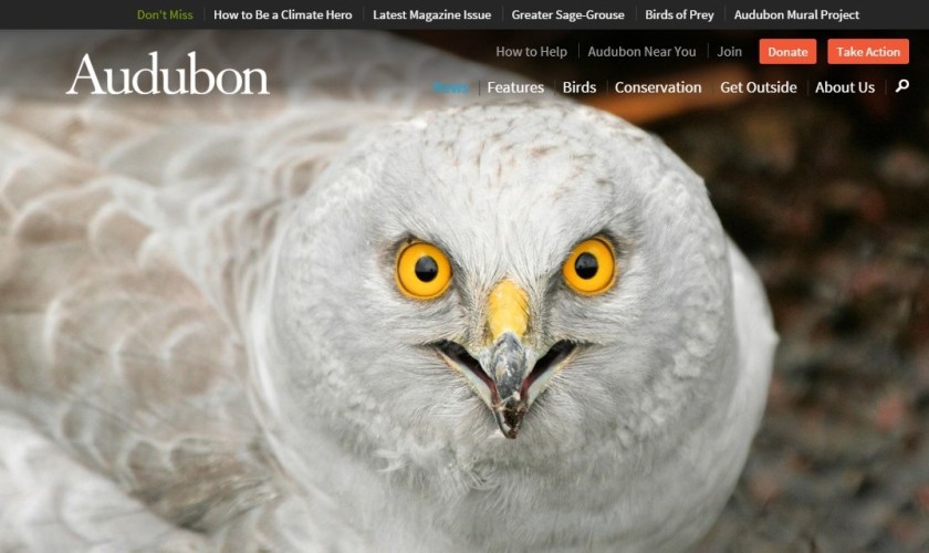 Audubon HH article