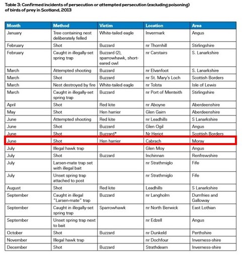 Cabrach shot HH 2013