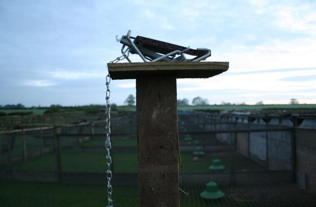 pole-trap-1-of-5-westfield-game-farm-rspb