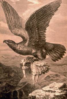 golden eagle carrying off girl