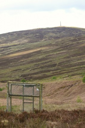 Langholm moor
