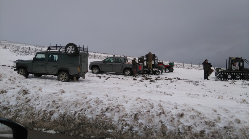 Hares_Lecht_25Feb2016 - Copy