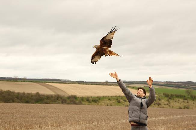 13043497_10153433700115812_4569680277323548722_n