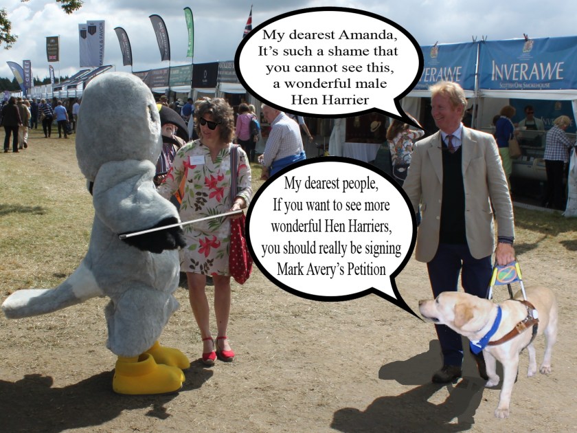 amanda blind text cropped (4) - Copy