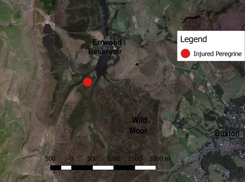 goyt-peregrine-habitat-map-1