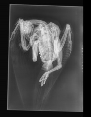 shot-perg-grassington-1