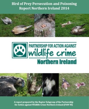 ni-persecution-report