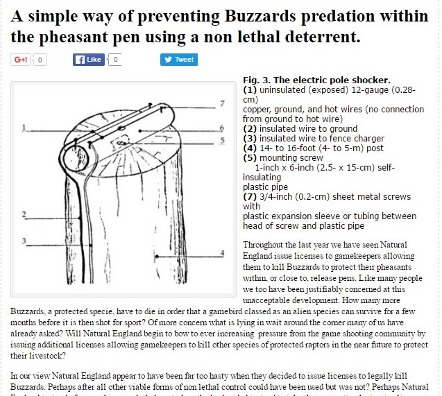 electric-pole-shocker