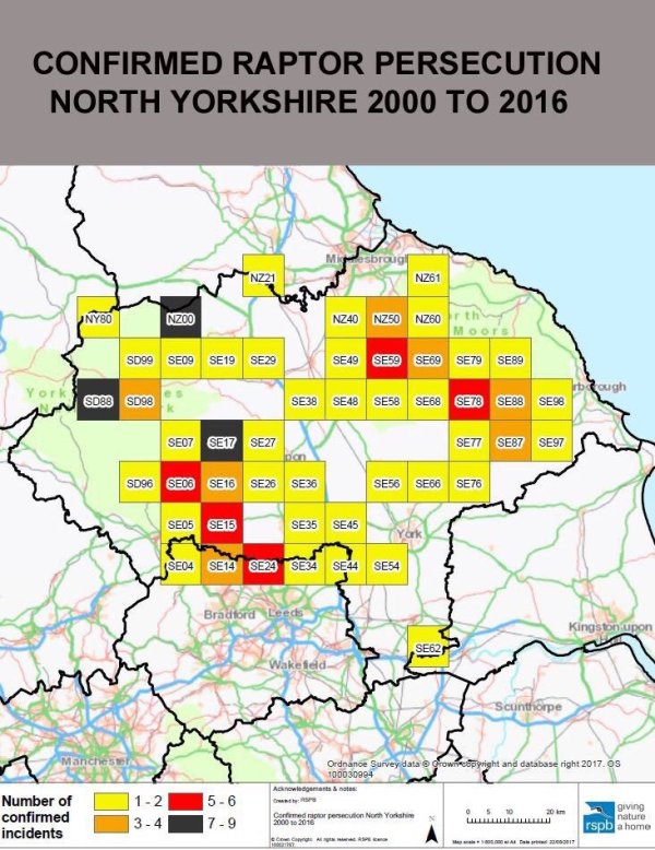 North Yorkshire police watchdog plans inquiry on raptor persecution ...