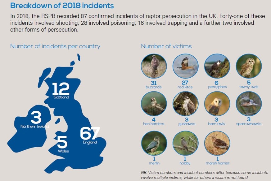 RSPB’s 2018 Birdcrime report documents relentless raptor persecution on ...