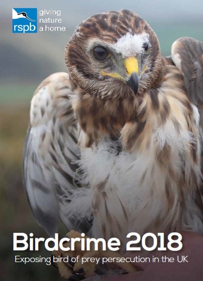 RSPB’s 2018 Birdcrime report documents relentless raptor persecution on ...
