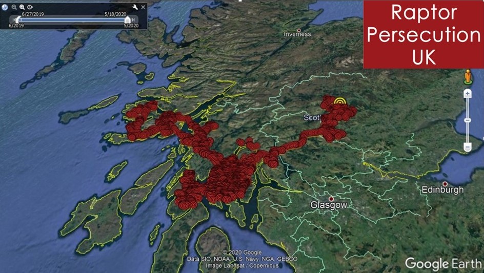 Our satellite tagged golden eagles – Raptor Persecution UK