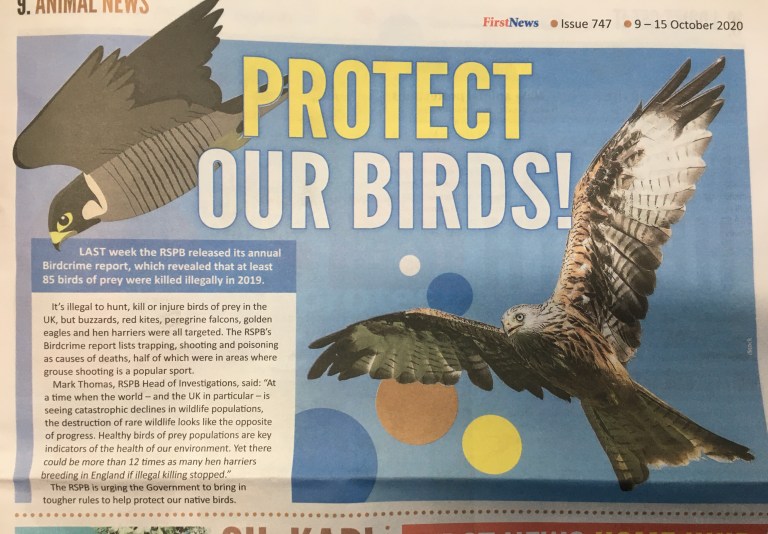 firstnews – Raptor Persecution UK