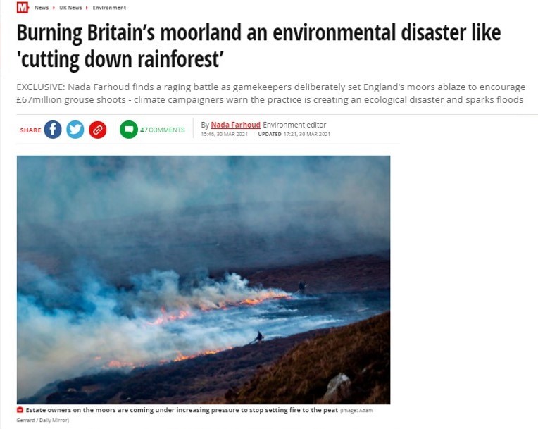 mirrorfire – Raptor Persecution UK