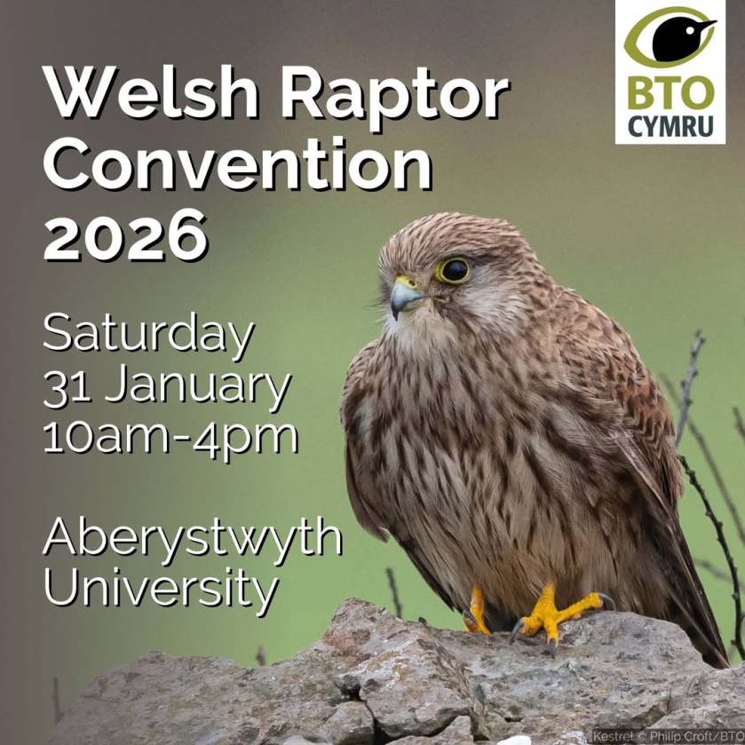 Welsh Raptor Convention 2026 – Raptor Persecution UK
