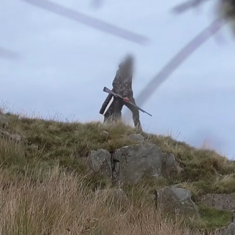 More commentary on the sentencing of Yorkshire Dales gamekeeper Racster&nbsp;Dingwall